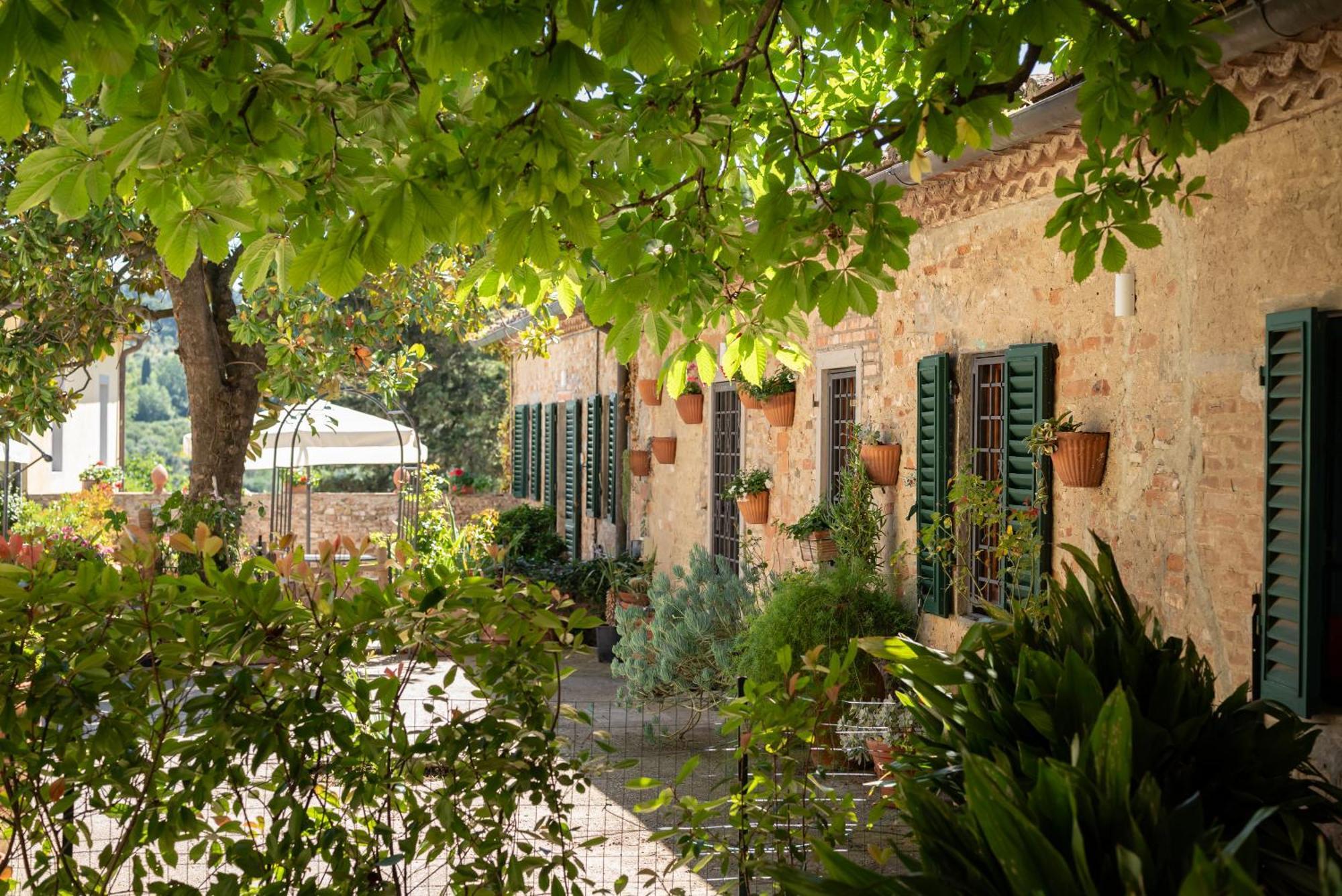 Agriturismo Bio Fattoria Bacio Certaldo Ngoại thất bức ảnh