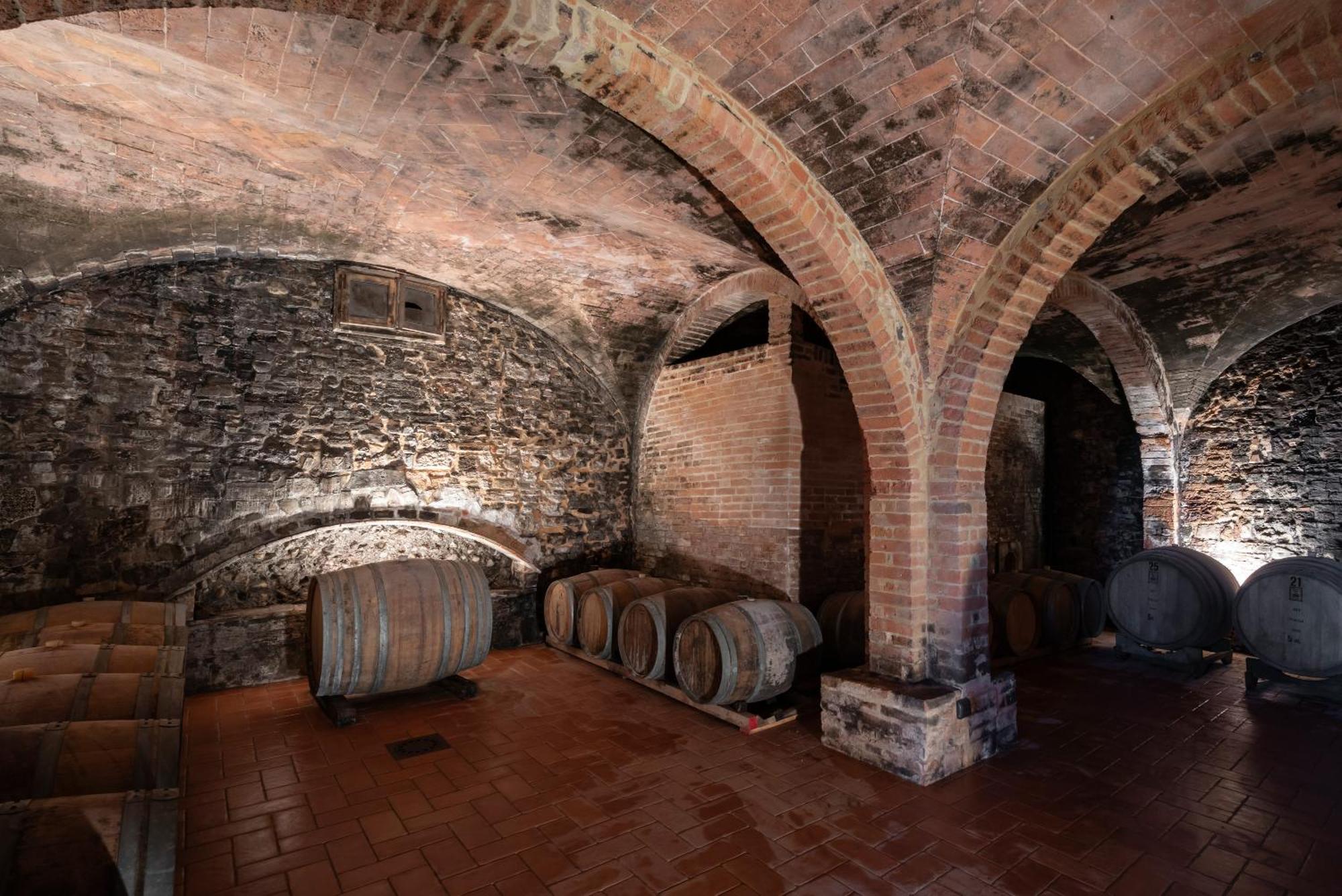 Agriturismo Bio Fattoria Bacio Certaldo Ngoại thất bức ảnh